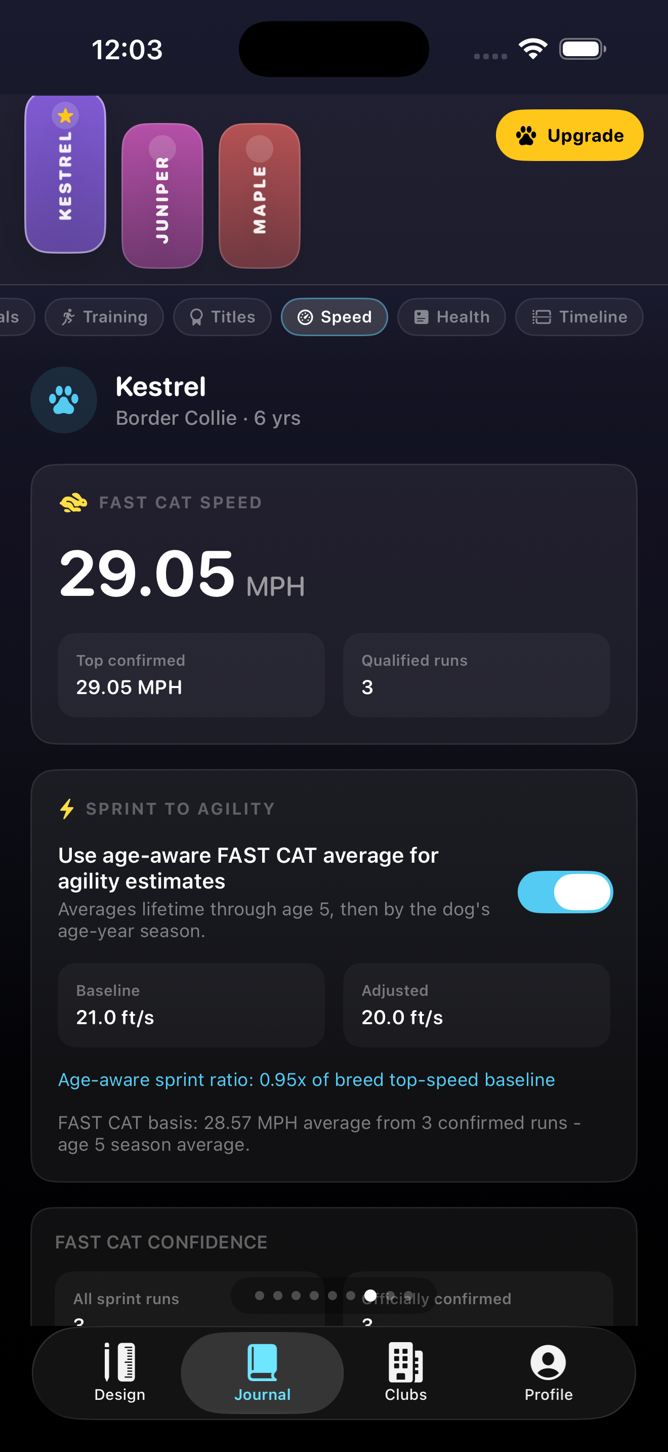 The speed and stats screen for a seeded dog profile